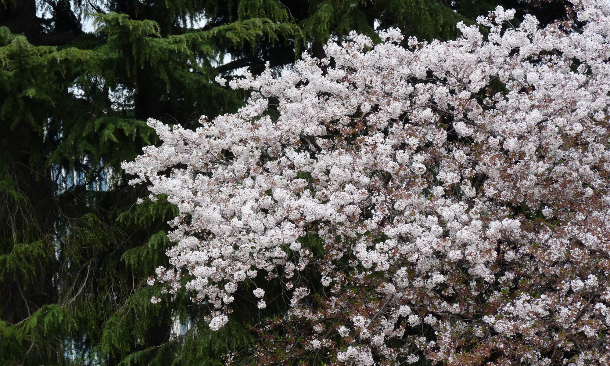 Alam Communication Korea